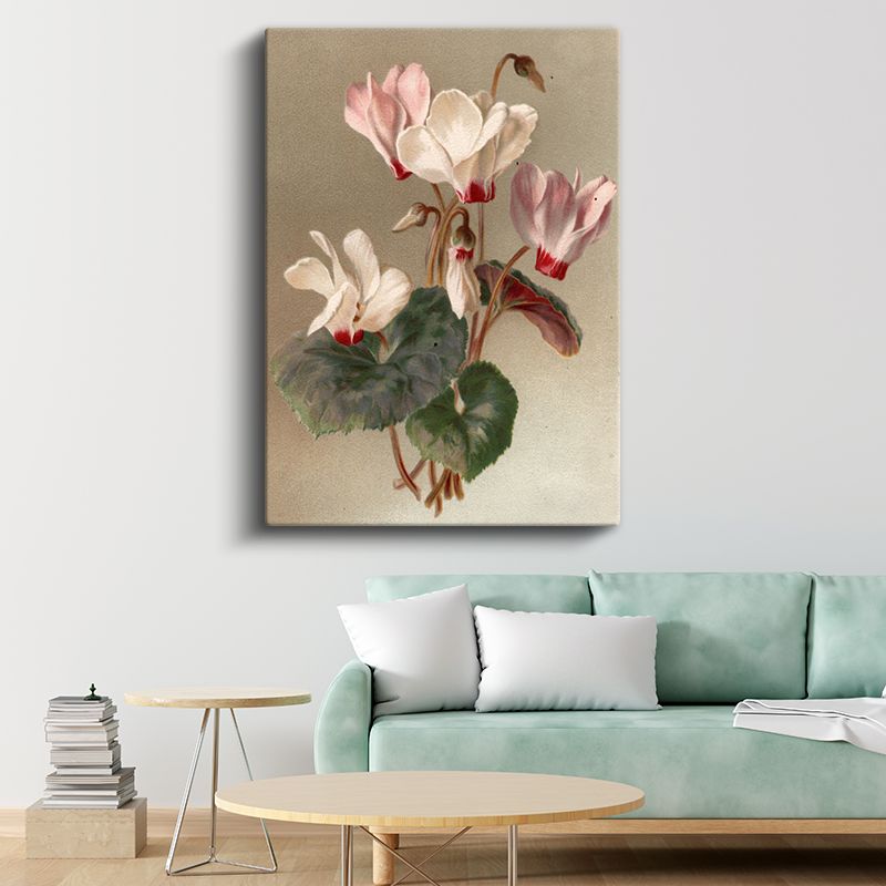 Zarif Siklamen - Pembe Beyaz Çiçekler Vintage Botanik Kanvas Tablo