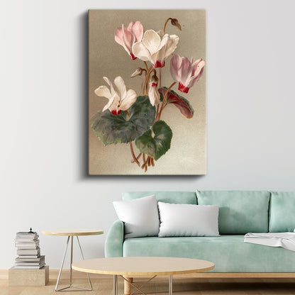 Zarif Siklamen - Pembe Beyaz Çiçekler Vintage Botanik Kanvas Tablo
