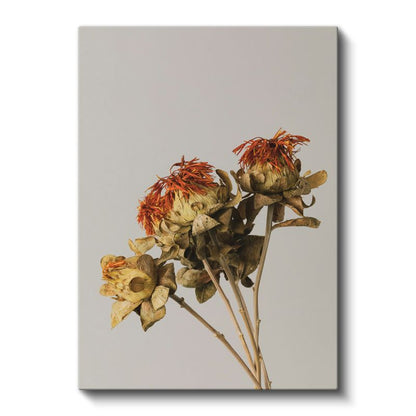 Kurumuş Çiçekler - Nostaljik Turuncu Detaylı Botanik Kanvas Tablo
