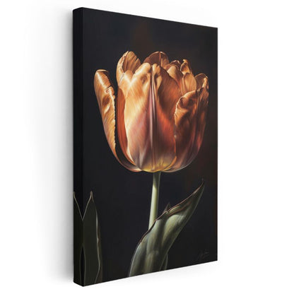 Amber Lale - Dramatik Siyah Fonlu Çiçek Portresi Kanvas Tablo