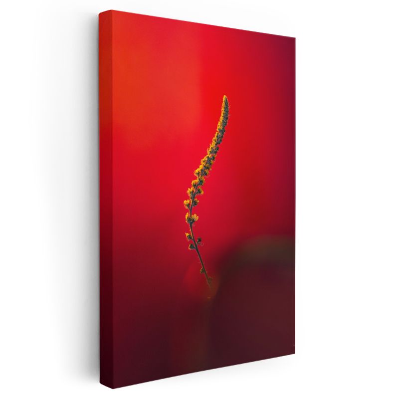 Kırmızı Senfoni - Minimalist Çiçek Dalı Kanvas Tablo