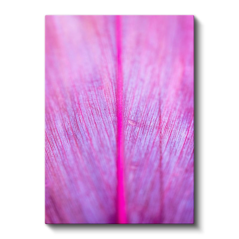 Pembe Damar - Makro Çekim Yaprak Detayı Kanvas Tablo