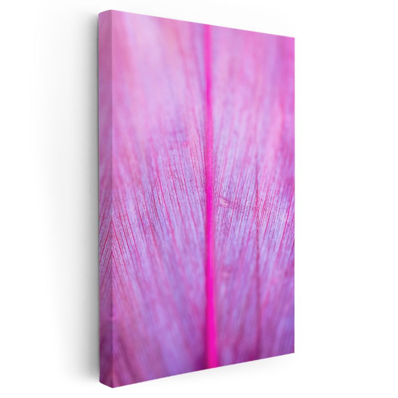 Pembe Damar - Makro Çekim Yaprak Detayı Kanvas Tablo