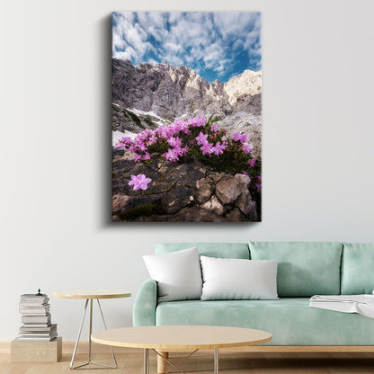 Dağ Çiçekleri - Kayalık Zirvelerde Pembe Çiçekler Kanvas Tablo