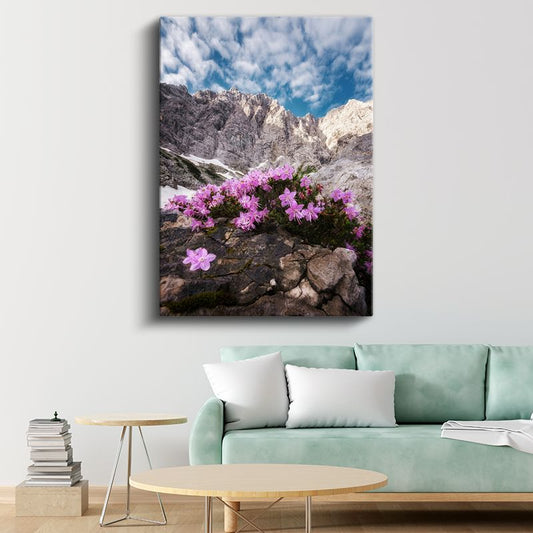 Dağ Çiçekleri - Kayalık Zirvelerde Pembe Çiçekler Kanvas Tablo