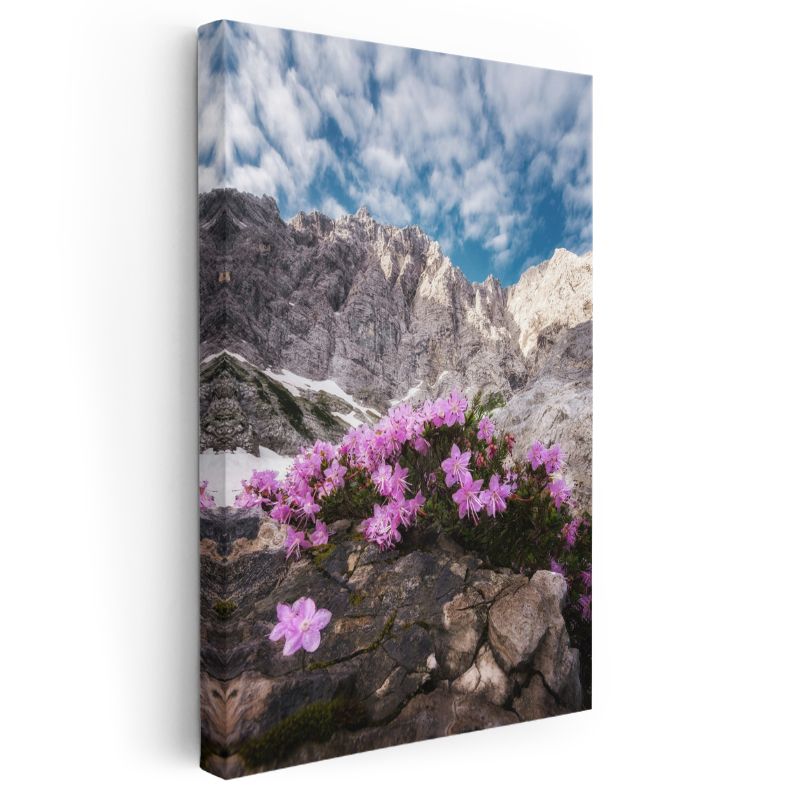 Dağ Çiçekleri - Kayalık Zirvelerde Pembe Çiçekler Kanvas Tablo