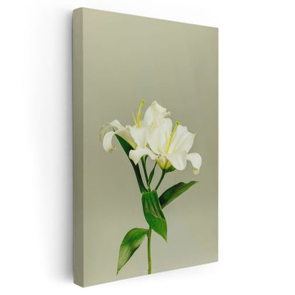 Beyaz Lilyum - Minimalist Çiçek Portresi Kanvas Tablo