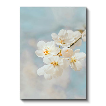 Bahar Çiçekleri - Mavi Gökyüzünde Beyaz Kiraz Çiçekleri Kanvas Tablo