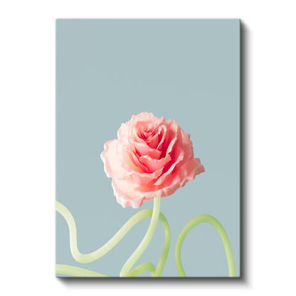 Pastel Gül - Mavi Fonda Minimalist Çiçek Portresi Kanvas Tablo