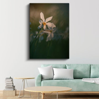 Beyaz Nergis - Doğal Çiçek Fotoğrafı Kanvas Tablo