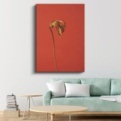 Solmuş Çiçek - Kırmızı Fonda Minimalist Botanik Kanvas Tablo