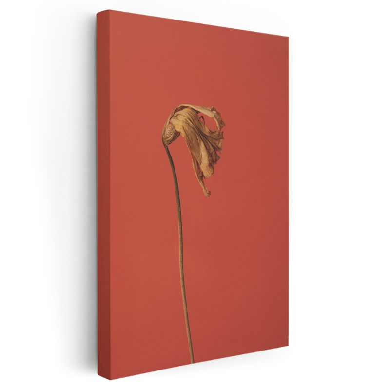 Solmuş Çiçek - Kırmızı Fonda Minimalist Botanik Kanvas Tablo