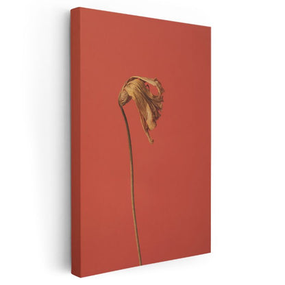 Solmuş Çiçek - Kırmızı Fonda Minimalist Botanik Kanvas Tablo