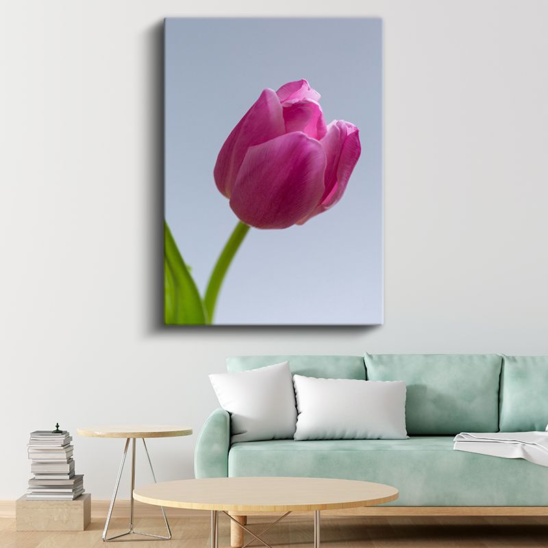 Pembe Lale - Minimalist Çiçek Portresi Kanvas Tablo