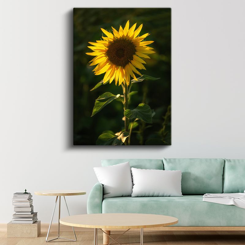 Ayçiçeği - Güneşe Dönen Parlak Sarı Çiçek Kanvas Tablo