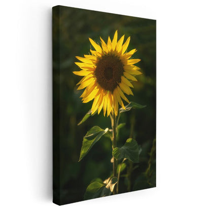Ayçiçeği - Güneşe Dönen Parlak Sarı Çiçek Kanvas Tablo