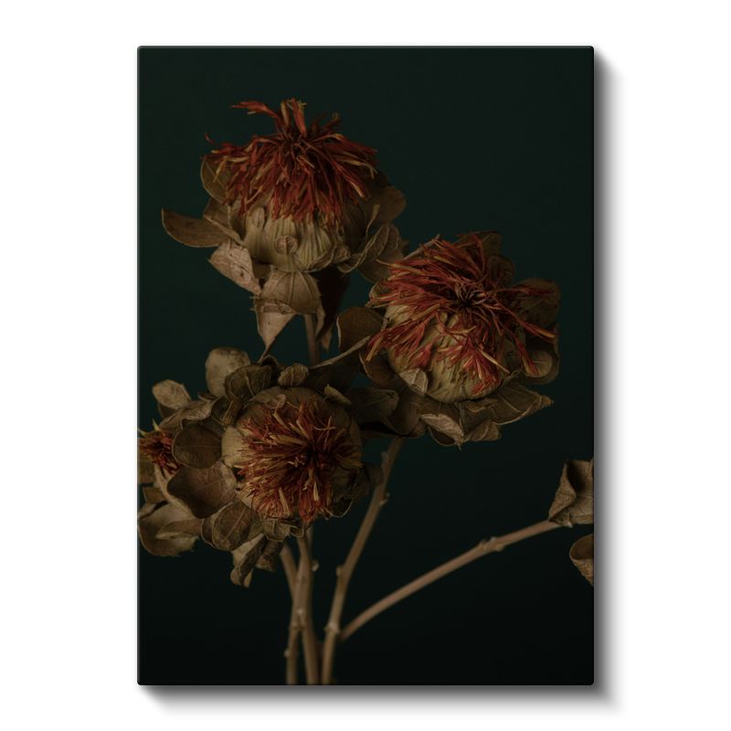 Nostaljik Çiçekler - Vintage Koyu Zeminde Kurumuş Çiçekler Kanvas Tablo