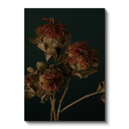 Nostaljik Çiçekler - Vintage Koyu Zeminde Kurumuş Çiçekler Kanvas Tablo