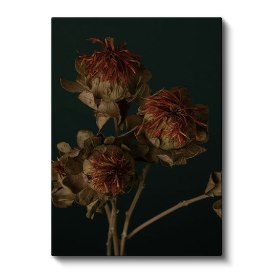 Nostaljik Çiçekler - Vintage Koyu Zeminde Kurumuş Çiçekler Kanvas Tablo