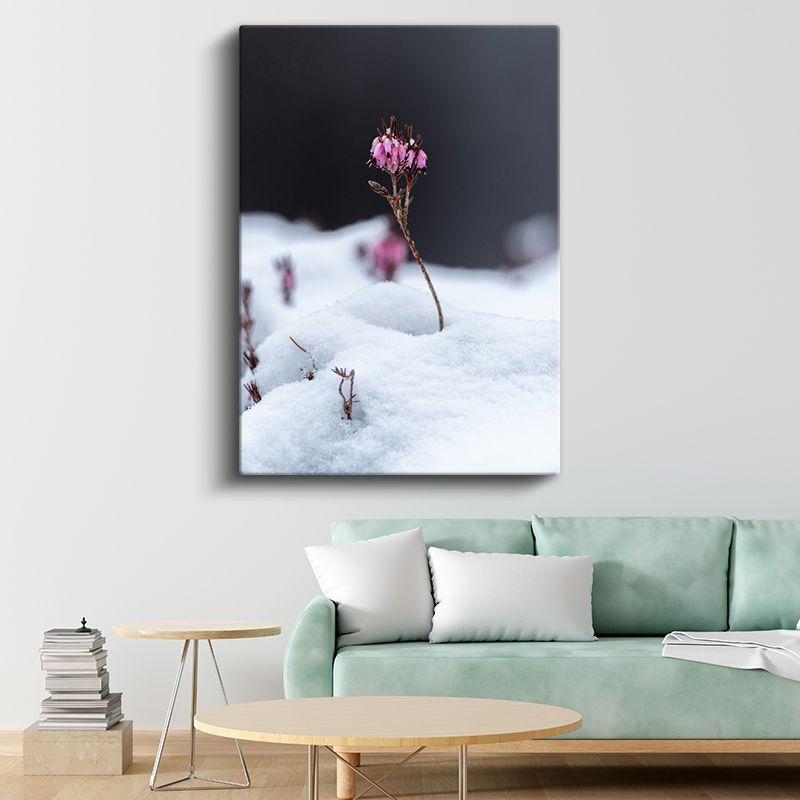 Kış Çiçeği - Karlı Zeminde Pembe Tomurcuklar Kanvas Tablo