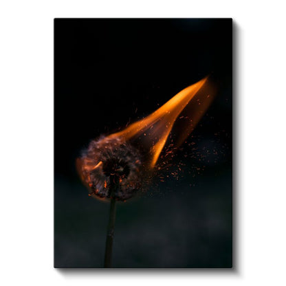 Alev Çiçeği - Dramatik Yanmakta Olan Karahindiba Kanvas Tablo