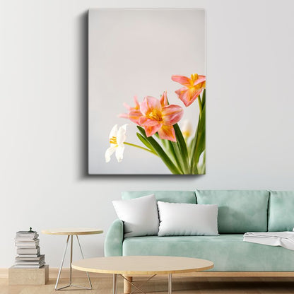 Bahar Çiçekleri - Minimal Beyaz Zeminde Pembe Laleler Kanvas Tablo