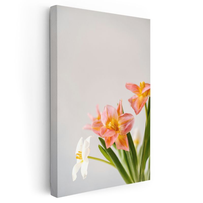 Bahar Çiçekleri - Minimal Beyaz Zeminde Pembe Laleler Kanvas Tablo