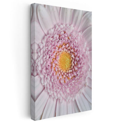 Pembe Gerbera - Makro Çekim Çiçek Detayları Kanvas Tablo