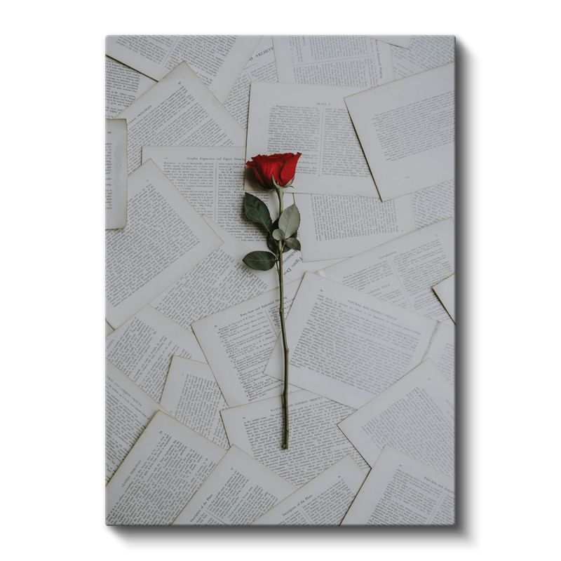 Edebiyat Gülü - Kitap Sayfaları Üzerinde Kırmızı Gül Kanvas Tablo