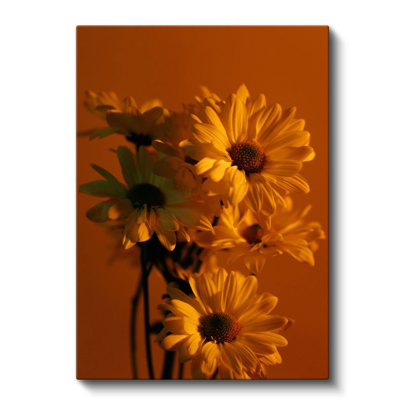 Altın Papatyalar - Sıcak Turuncu Fonda Çiçek Buketi Kanvas Tablo