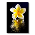 Dikey Kanvas Tablo Sarı Beyaz Plumeria Yansıma Çiçek Tablosu Ev Ofis Duvar Dekoru