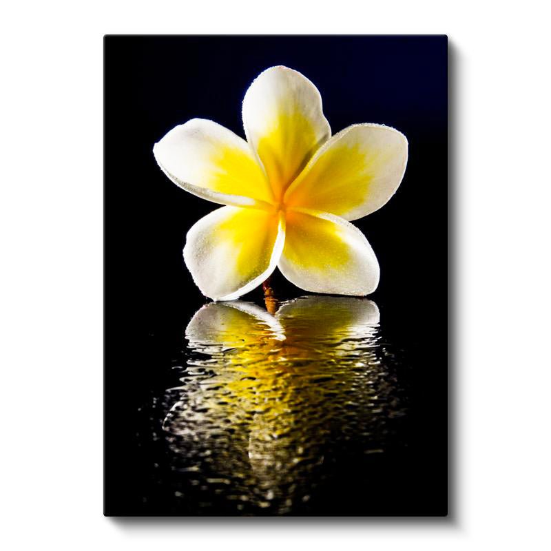 Dikey Kanvas Tablo Sarı Beyaz Plumeria Yansıma Çiçek Tablosu Ev Ofis Duvar Dekoru