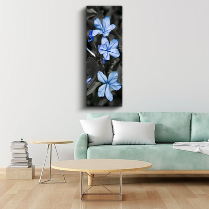 Mavi Plumbago - Siyah Beyaz Fonda Zarif Mavi Çiçekler Kanvas Tablo