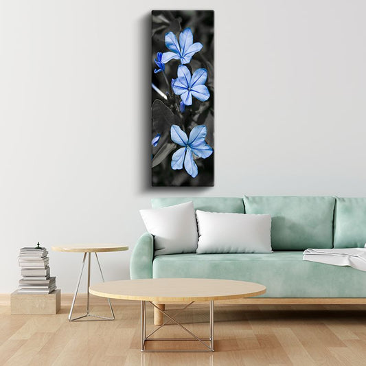 Mavi Plumbago - Siyah Beyaz Fonda Zarif Mavi Çiçekler Kanvas Tablo