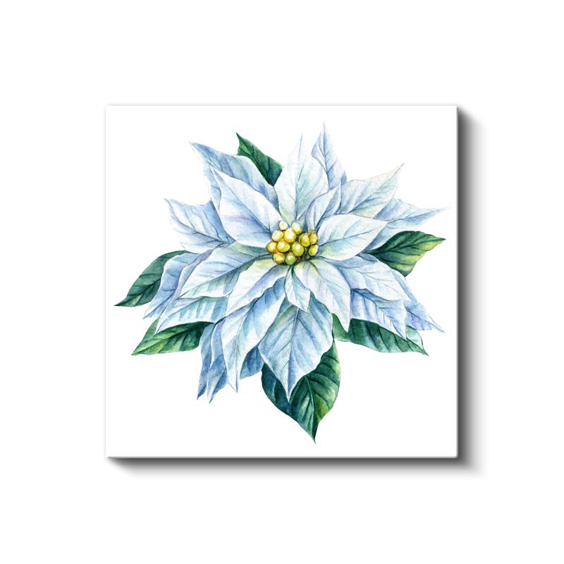 Beyaz Atatürk Çiçeği - Zarif Kar Beyazı Yıldız Çiçeği Kanvas Tablo