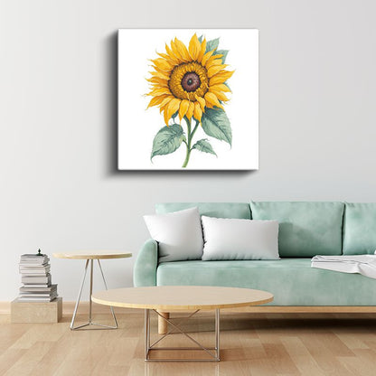Klasik Ayçiçeği - Canlı Detaylı Botanik İllüstrasyon Kanvas Tablo