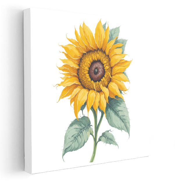 Klasik Ayçiçeği - Canlı Detaylı Botanik İllüstrasyon Kanvas Tablo