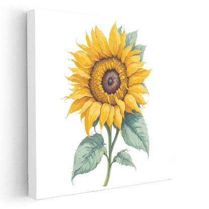 Klasik Ayçiçeği - Canlı Detaylı Botanik İllüstrasyon Kanvas Tablo