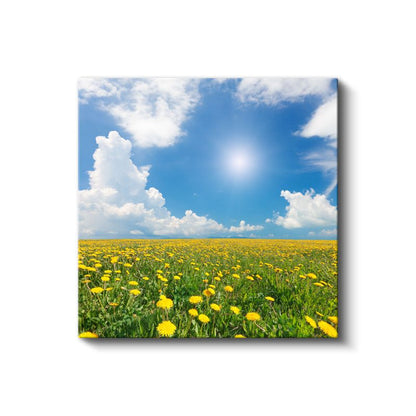 Turuncu Papatyalar - Doğal Çiçek Bahçesi Kanvas Tablo