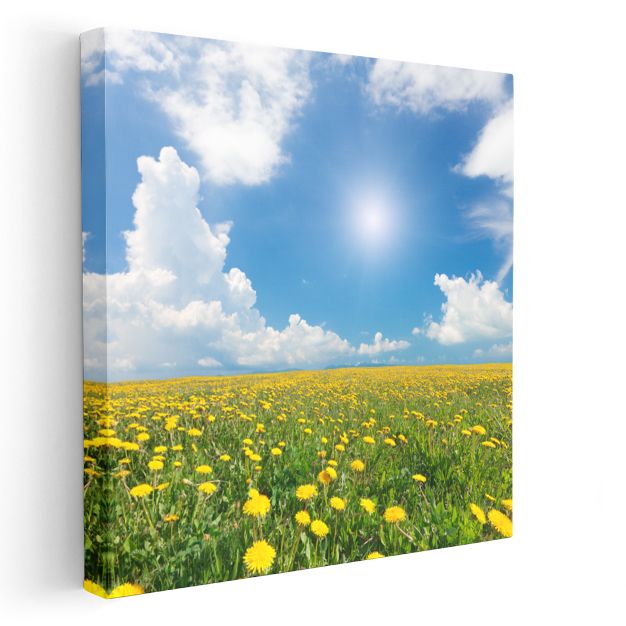 Turuncu Papatyalar - Doğal Çiçek Bahçesi Kanvas Tablo