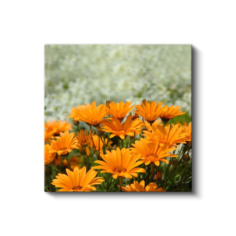 Dağ Yamacı - Pembe Çiçekli Doğa Manzarası Kanvas Tablo