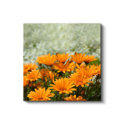 Dağ Yamacı - Pembe Çiçekli Doğa Manzarası Kanvas Tablo