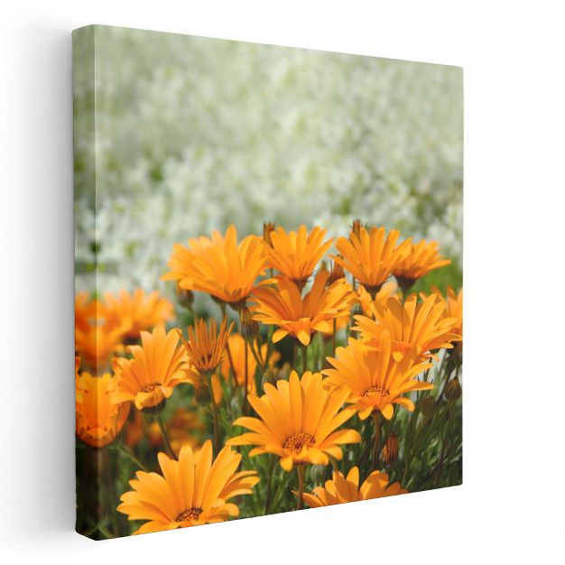 Dağ Yamacı - Pembe Çiçekli Doğa Manzarası Kanvas Tablo