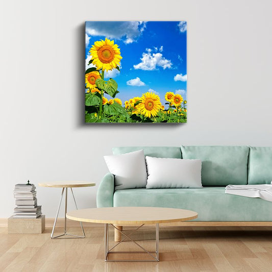 Güneş ve Ayçiçekleri - Parlak Gökyüzü Altında Altın Sarısı Çiçekler Kanvas Tablo