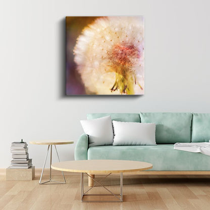 Karahindiba Detayı - Yumuşak Tonlarda Çiçek Portresi Kanvas Tablo