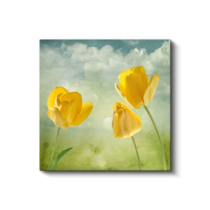 Sarı Laleler - Bulutlu Gökyüzü Altında Bahar Çiçekleri Kanvas Tablo