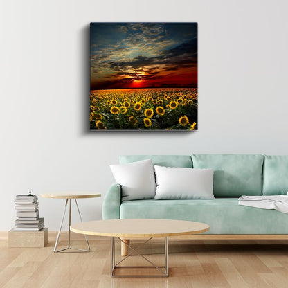 Gün Batımı ve Ayçiçekleri - Dramatik Gökyüzü Altında Çiçek Tarlası Kanvas Tablo