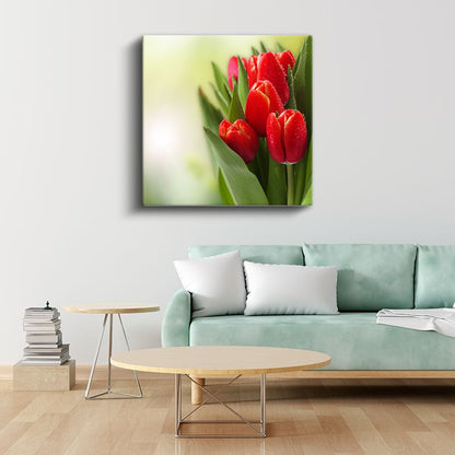 Kırmızı Laleler - Çiy Damlacıklı Zarif Çiçek Portresi Kanvas Tablo
