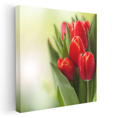 Kırmızı Laleler - Çiy Damlacıklı Zarif Çiçek Portresi Kanvas Tablo