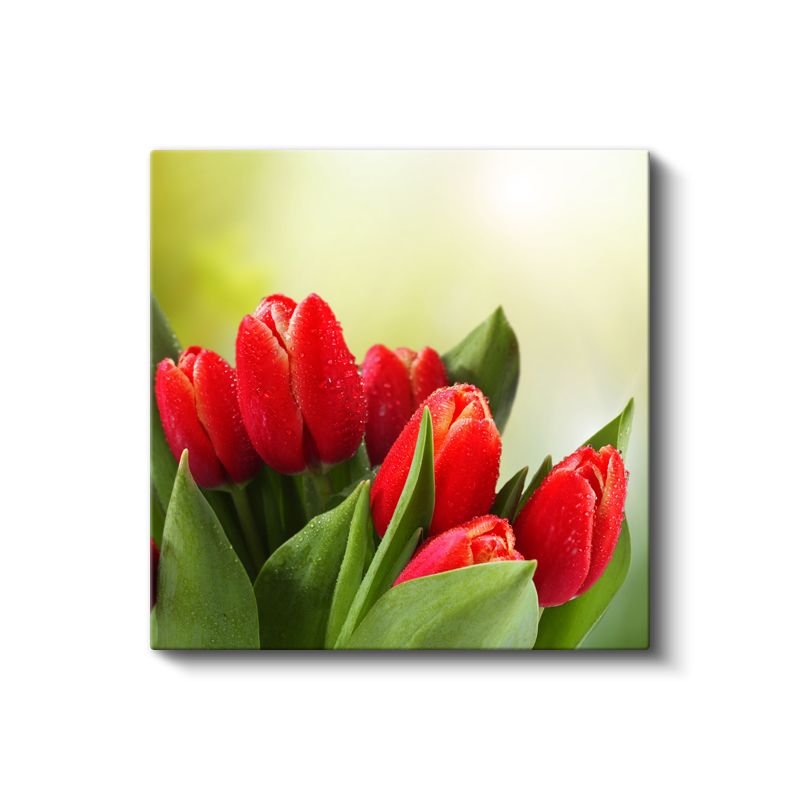Lale Buketi - Yeşil Yapraklar Arasında Kırmızı Çiçekler Kanvas Tablo